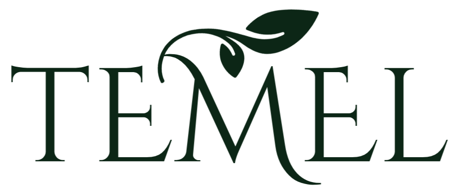 TEMEL