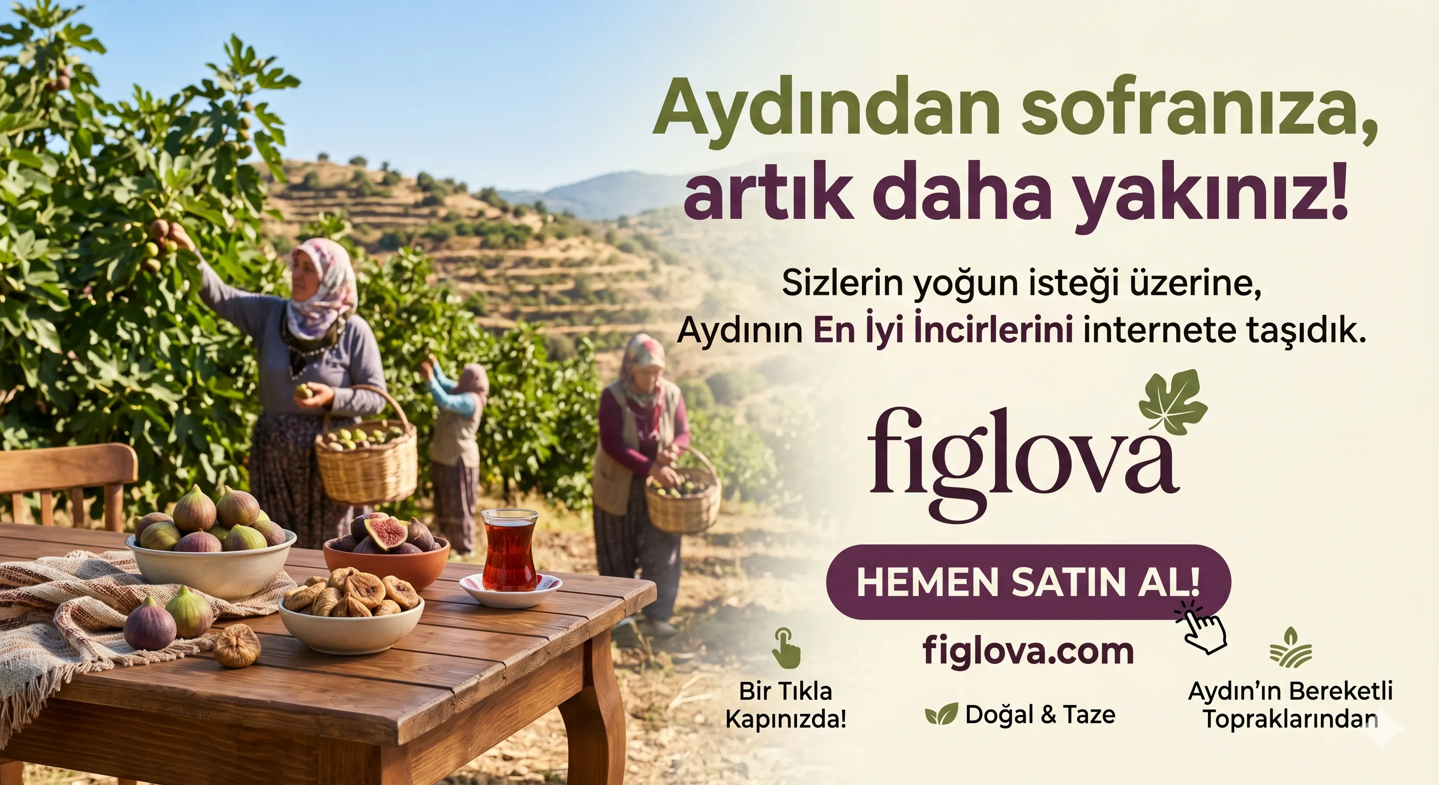 AYDININ EN İYİ İNCİRLERİ BİR TIK ÖTEDE